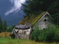 Shed in Field.jpg