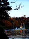 em-Helford3-010807.gif