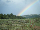 Rainbow over box elder.JPG