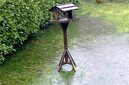 Skully_s Garden 19Nov2009 heavy rains flooded several Ireland towns..bmp